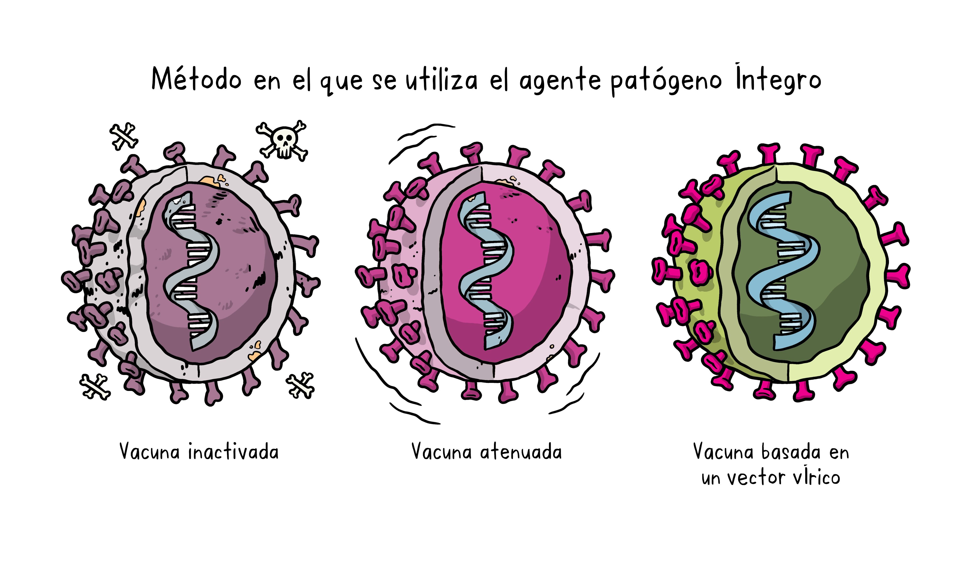 Vaccines Topics Four images working 02