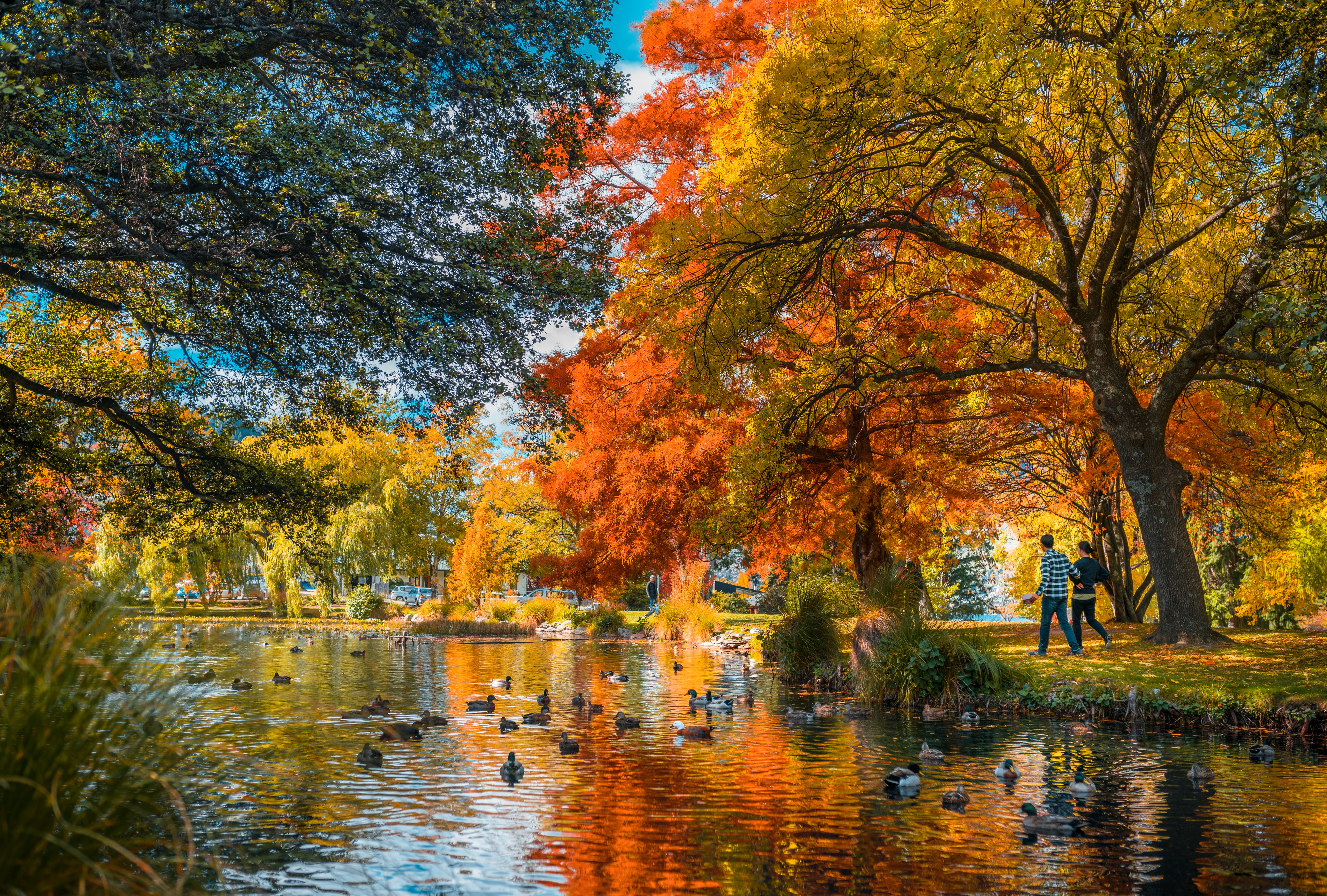 Queenstown_NewZealand_Joel_Staveley